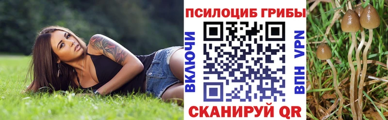 Псилоцибиновые грибы Magic Shrooms  наркота  Тверь 